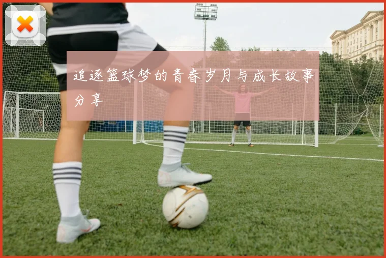 追逐篮球梦的青春岁月与成长故事分享