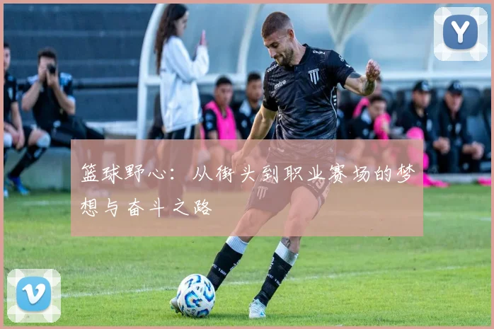 篮球野心：从街头到职业赛场的梦想与奋斗之路