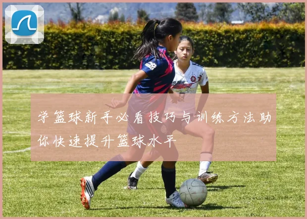 学篮球新手必看技巧与训练方法助你快速提升篮球水平