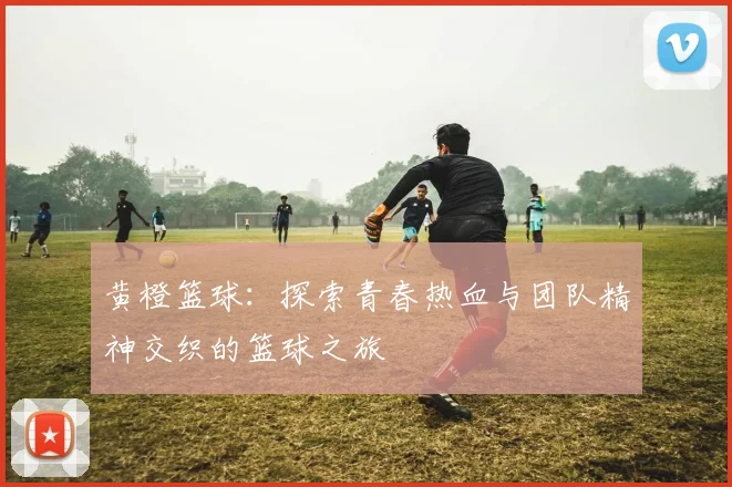 黄橙篮球:探索青春热血与团队精神交织的篮球之旅