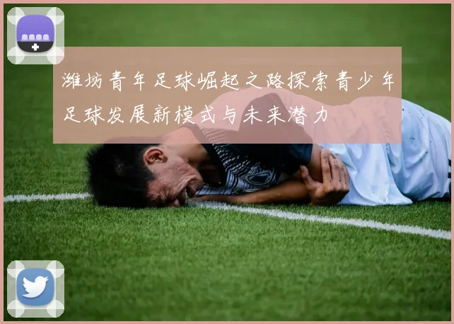 潍坊青年足球崛起之路探索青少年足球发展新模式与未来潜力