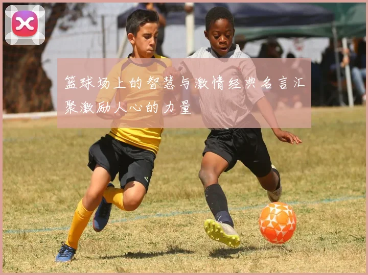 篮球场上的智慧与激情经典名言汇聚激励人心的力量